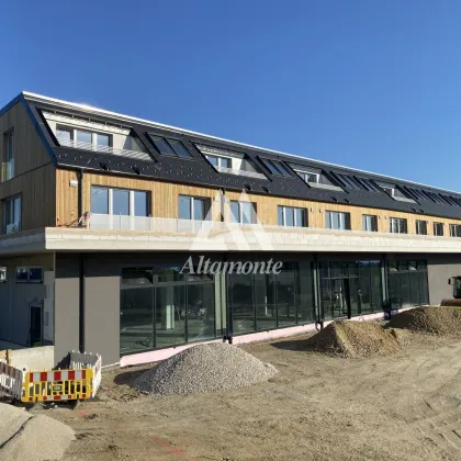 Wohnung am Wagram mit Balkon oder  Terrasse - Bild 2