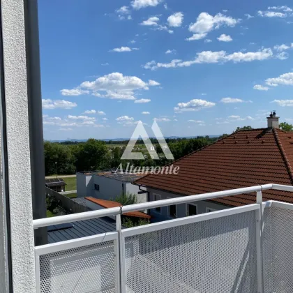 Wohnung am Wagram mit Balkon oder  Terrasse - Bild 3