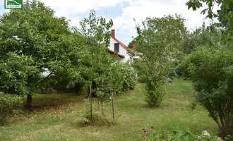 Ländliche Idylle im Burgenland: Charmantes Landhaus mit 4 Zimmern, 130 m², Garten, Terrasse, u.v.m.!