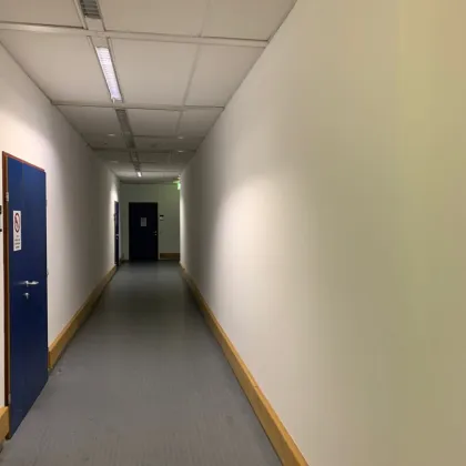 LAGERFLÄCHE (35m² ) zu mieten im IKANO OFFICE PARK - AR 10 - Bild 2