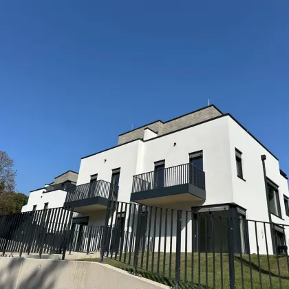 Ihr neues Domizil im Grünen. - Exklusiv.Wohnen.Weidling. - Bild 2