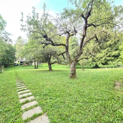 *** HERRLICHER FERNBLICK *** AM ENDE EINER SACKGASSE *** ZENTRUMSNAHE *** - Bild 2