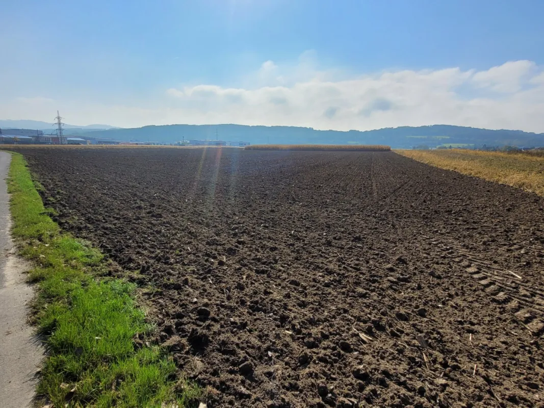 Gewerbegrundstück (Baurecht) in Pöchlarn zu vergeben - Bild 1