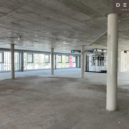 "Herzfelderhof" in Wiener Neudorf - Effiziente Büros von ganz klein bis ganz groß - Bild 2