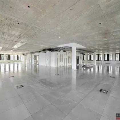 DAS HAFENPORTAL I BÜROFLÄCHE IM 1.OG - Bild 2