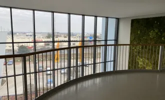 255-1 - ERSTBEZUG Büro mit 5 Räumen (146m²) -- Sofort einziehen - zu mieten im IKANO OFFICE PARK 2351 Wiener Neudorf
