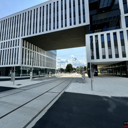 DAS HAFENPORTAL I BÜROFLÄCHE IM 4.OG - Bild 3