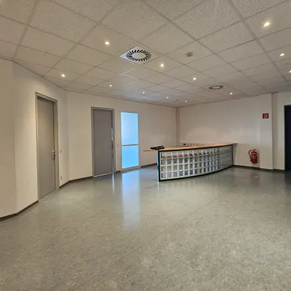 Bürofläche mit mehreren Einheiten zu mieten im IKANO OFFICE PARK -  2351 Wiener Neudorf - 255-2 - Bild 3
