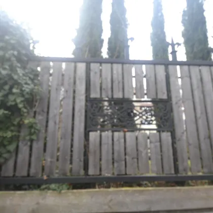 Grundstück mit 3 Bauplätzen, Baubewilligung für noch ca. 750m² Wohnfläche dazu - Bild 2