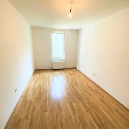 Modern geschnittene 4 Zimmer Wohnung nahe dem Millenium Tower - Bild 3