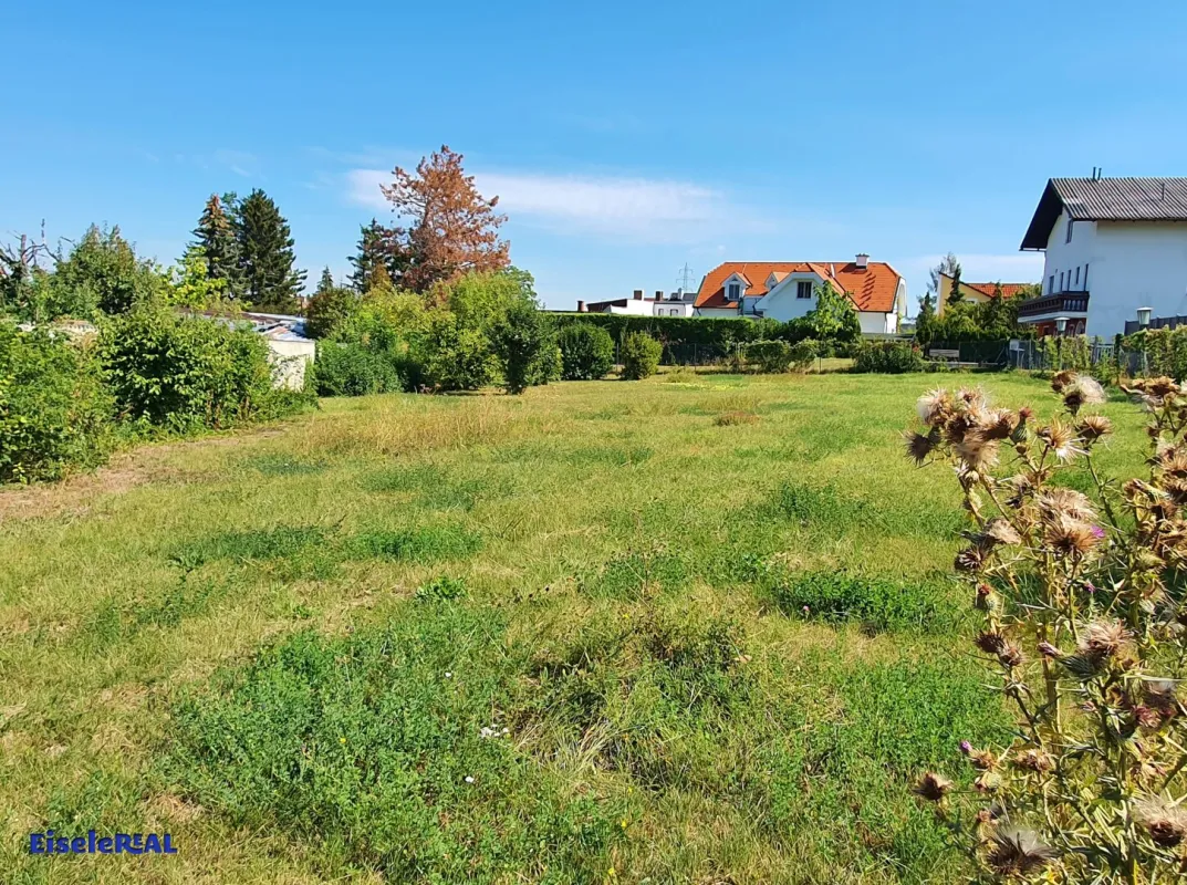 sonniger Baugrund für Einfamilienhaus - Bild 1