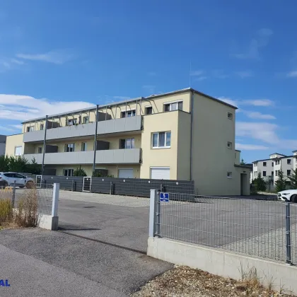 ERSTBEZUG-GENOSSENSCHAFTSWOHNUNG in Strasshof - Top 11 - Bild 2