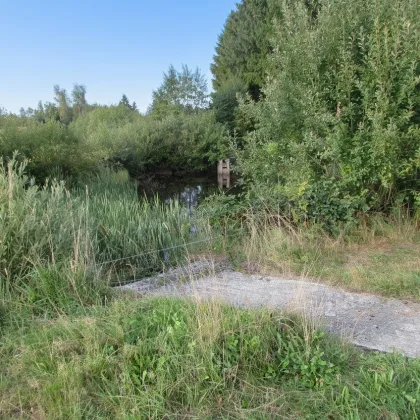 *****Fischteiche im nördlichen Waldviertel***** - Bild 2