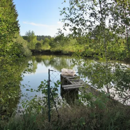 *****Fischteiche im nördlichen Waldviertel***** - Bild 3
