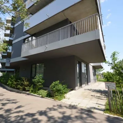 Moderne Gewerbeflächen (Büro, Gruppenpraxis, etc.) bei NEU MARX - Bild 2