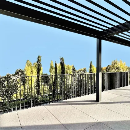 ERSTBEZUG - PENTHOUSE  261m² WOHNFLÄCHE -  3 TERRASSEN  80m² - 1 WOHNEBENE - DIREKTE LIFTFAHRT   XL GARAGE OPTIONAL - GRÜN- FERNBLICK - Bild 2