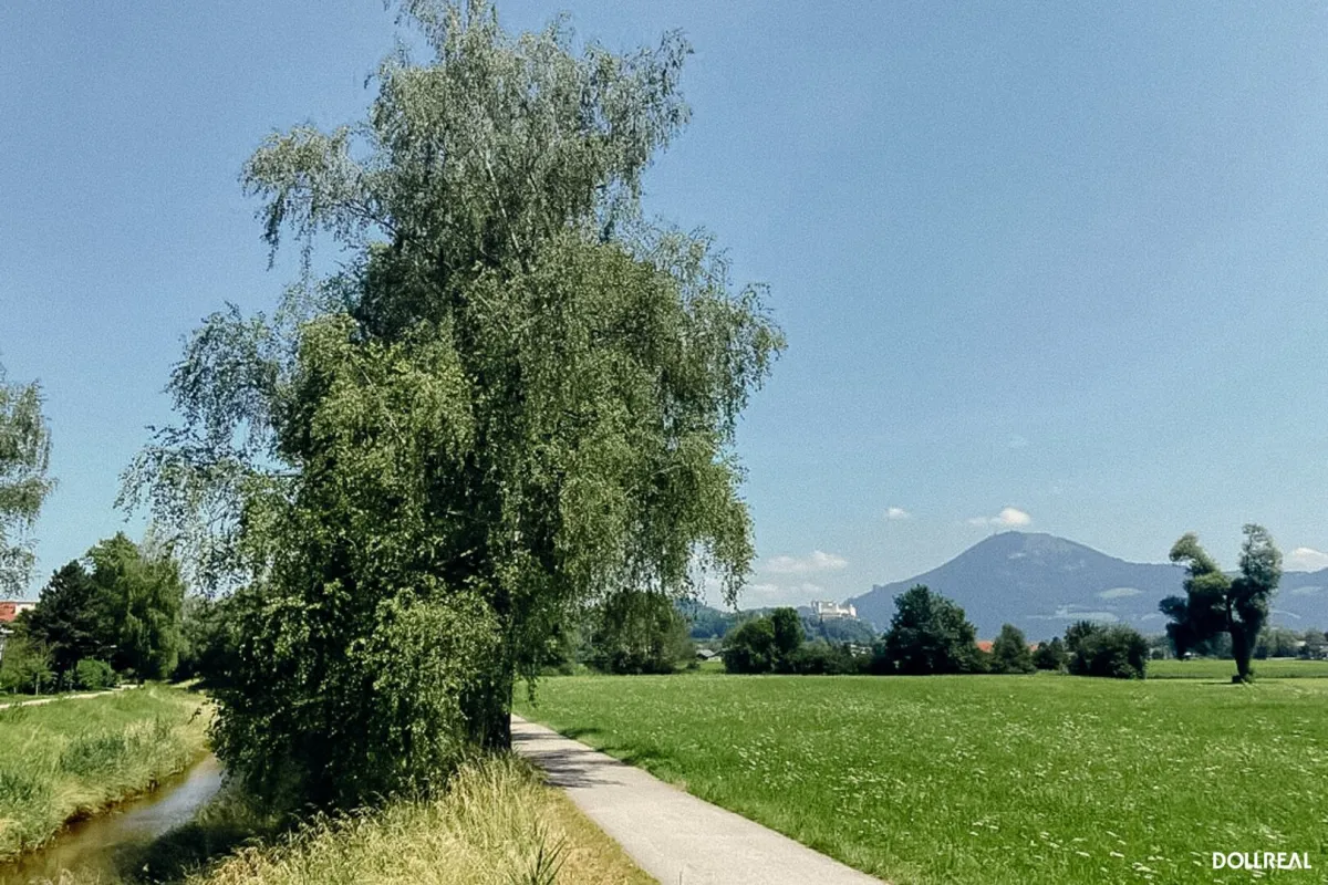 SALZBURG STADT, FAMILIENHIT MAXGLAN-WEST: 4 Zimmer, XXL Hobbyraum, Eigengarten, Garage - Bild 1