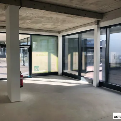 Freie Geschäftsfläche in der Arkade Südstadt in Maria Enzersdorf - Bild 2
