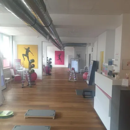 MARKT AM BINDERMICHL: Generalsanierte klimatisierte Büro-/Ordi-/Studiofläche mit bestem Preis-/Leistungsverhältnis - verschiedenste Aus-/Umbaumöglichkeiten - flexible Grundrissgestaltung - leistungsstarke Lüftungs- u. Klimaanlage - Bild 2