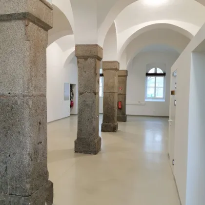 DRAGONER HÖFE: Büro-/Atelier-/Ordi-/Geschäftsfläche exklusiv u. einzigartig - Gewölbe, Granitsäulen, beeindruckende Raumhöhe...- weitreichender Gestaltungsfreiraum in historischen Gemäuern - optionale Lagerfläche mit 27 m² - Bild 2