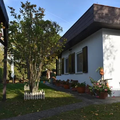 Traumhaftes Bungalow in Trausdorf: 60m² Wohnfläche, Terrasse, Carport und mehr für nur 179.000,00 €! - Bild 2