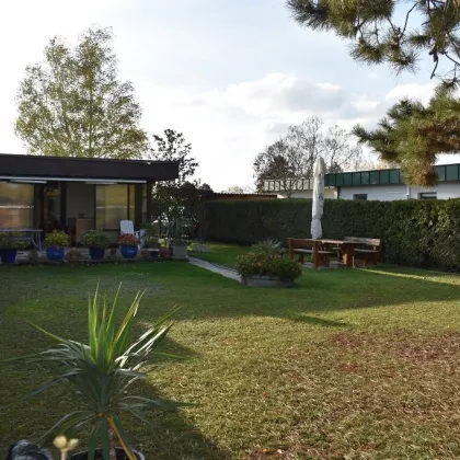 Traumhaftes Bungalow in Trausdorf: 60m² Wohnfläche, Terrasse, Carport und mehr für nur 179.000,00 €! - Bild 3