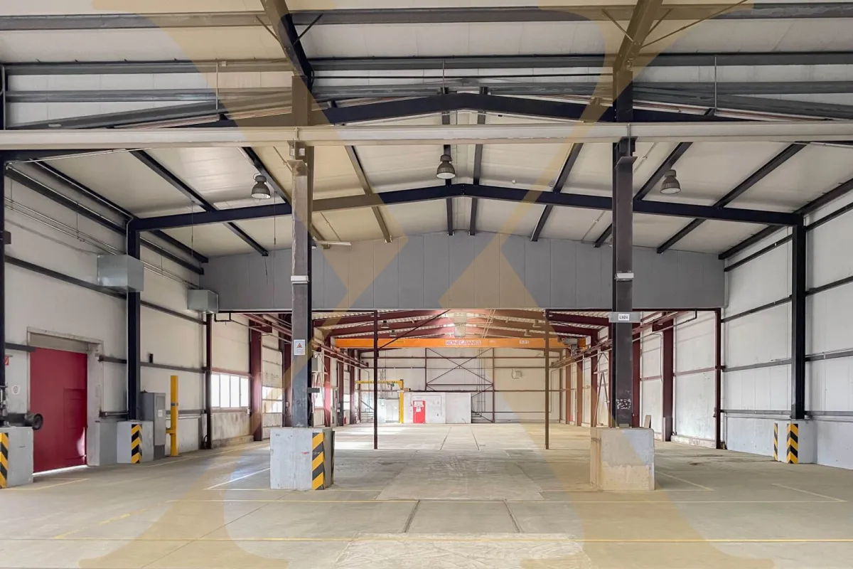 Beheizbare Lagerhalle mit ca. 7 bis 9 Meter Hallenhöhe, diversen Krananlagen, Freiflächen etc. in Asten zu vermieten! - Bild 1