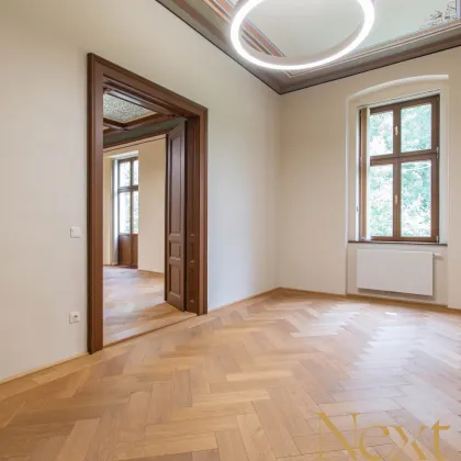 Repräsentative Büro-/Ordinationsfläche im Palais Löwenfeld in Linz/Kleinmünchen zu vermieten! - Bild 2