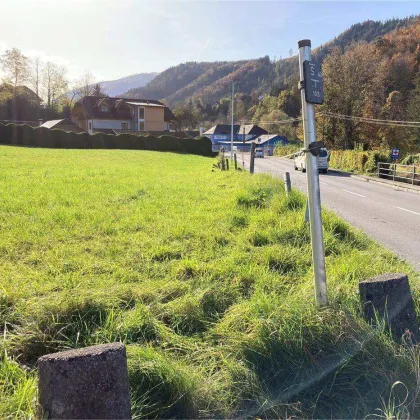 RESERVIERT - Weyer (OÖ) | unbebautes Baugrundstück ca. 2.400 m² (nicht teilbar) zu kaufen - Bild 3