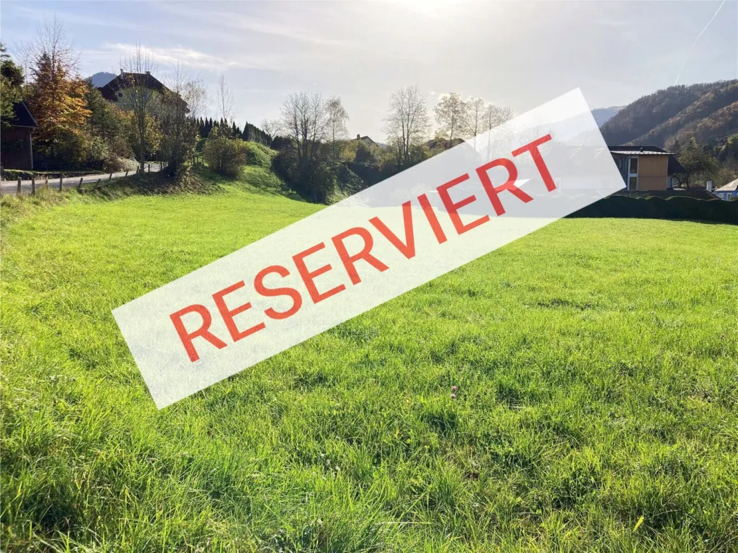 RESERVIERT - Weyer (OÖ) | unbebautes Baugrundstück ca. 2.400 m² (nicht teilbar) zu kaufen - Bild 1