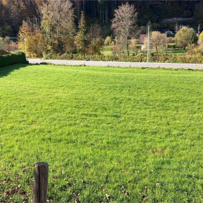 RESERVIERT - Weyer (OÖ) | unbebautes Baugrundstück ca. 2.400 m² (nicht teilbar) zu kaufen - Bild 2