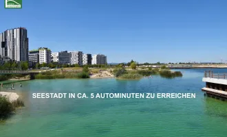 Rarität im 22.Bezirk - Grundstück auf Eigengrund - Einfamilienhaus, bis zu 3 Reihenhäuser oder Wohnbau!
