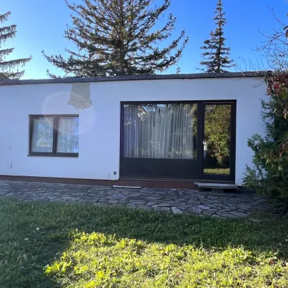 Rarität im 22.Bezirk - Grundstück auf Eigengrund - Einfamilienhaus, bis zu 3 Reihenhäuser oder Wohnbau! - Bild 2