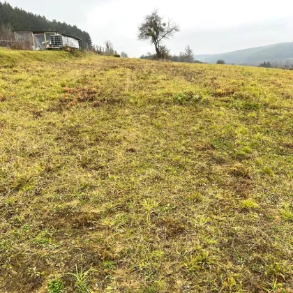 5.616 m2 großes Grundstück in Olbendorf mit Erweiterungsmöglichkeit auf 1,1 ha - Bild 2