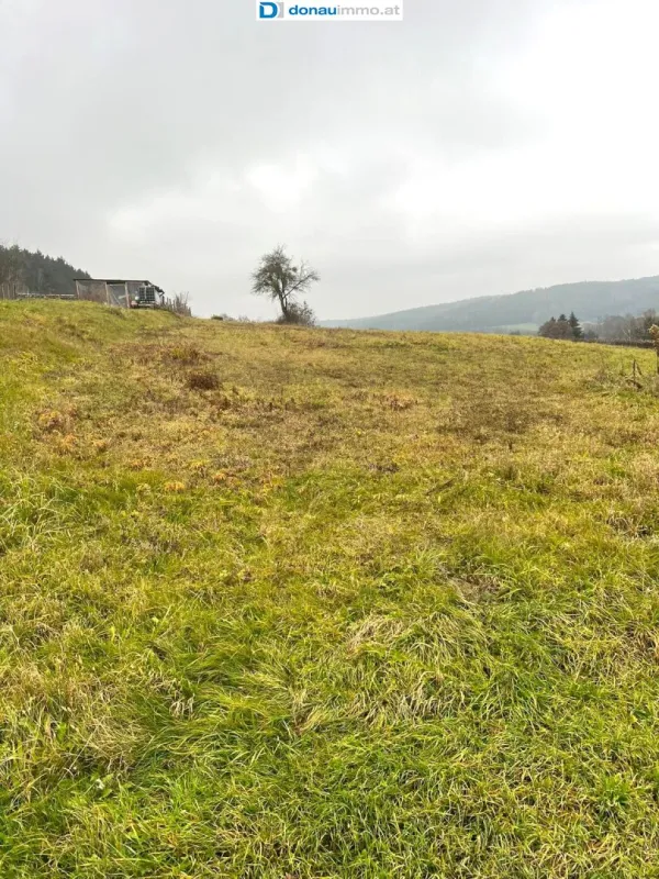 5.616 m2 großes Grundstück in Olbendorf mit Erweiterungsmöglichkeit auf 1,1 ha - Bild 1