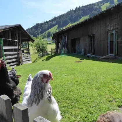 Gelegenheit! Bauernhaus in idyllischer Lage in Bruck an der Großglocknerstraße - Bild 3