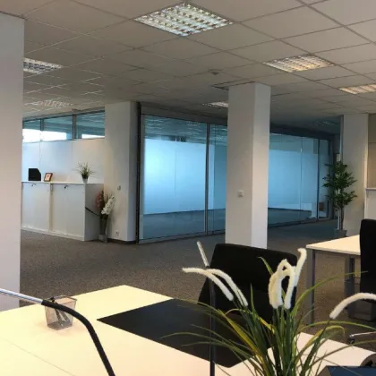 Barrierefreie Büroflächen mit Parkplätzen und guter Infrastruktur - Variante EG mit OG - Bild 2