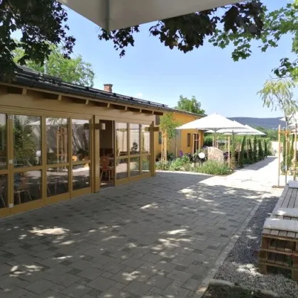 SUPERPREIS IM WEINORT SOOSS ! GRUNDSTÜCK mit BESTANDSGEBÄUDEN für GEWERBLICHE oder PRIVATNUTZUNG - Bild 2