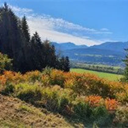 Baugrund in Sonniger Lage! - Bild 2