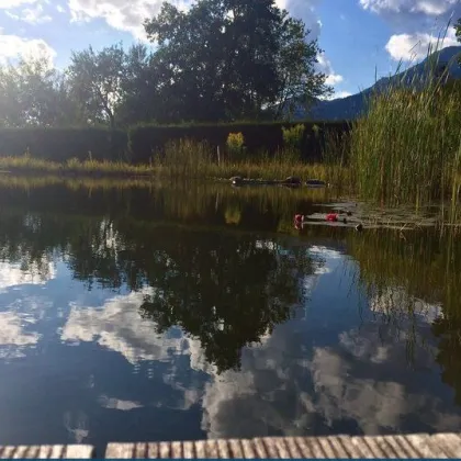 B&B -  Frühstückspension -  Hermagor Nassfeld Presseggersee - Bild 2