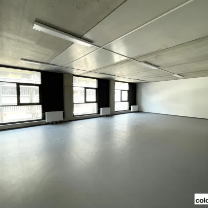 Attraktive Gewerbeflächen in der Seestadt - Bild 3