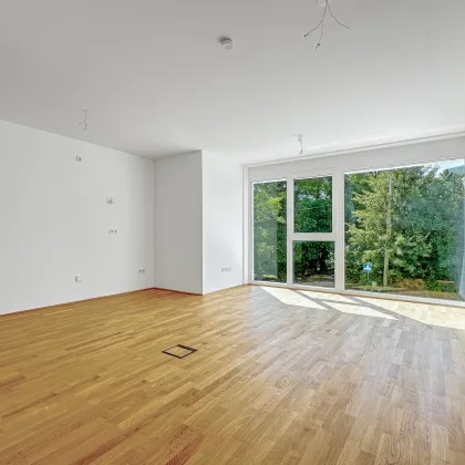 1-Zimmer Wohnung mit großer Fensterfront | 34,44 m² Wohnfläche | Wien Floridsdorf - Bild 2