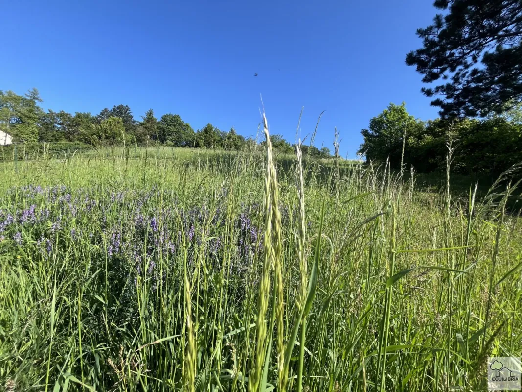KLOSTERNEUBURG-WEIDLING - EXKLUSIVER VILLENBAUGRUND MIT BAUBEWILLIGUNG - Bild 1