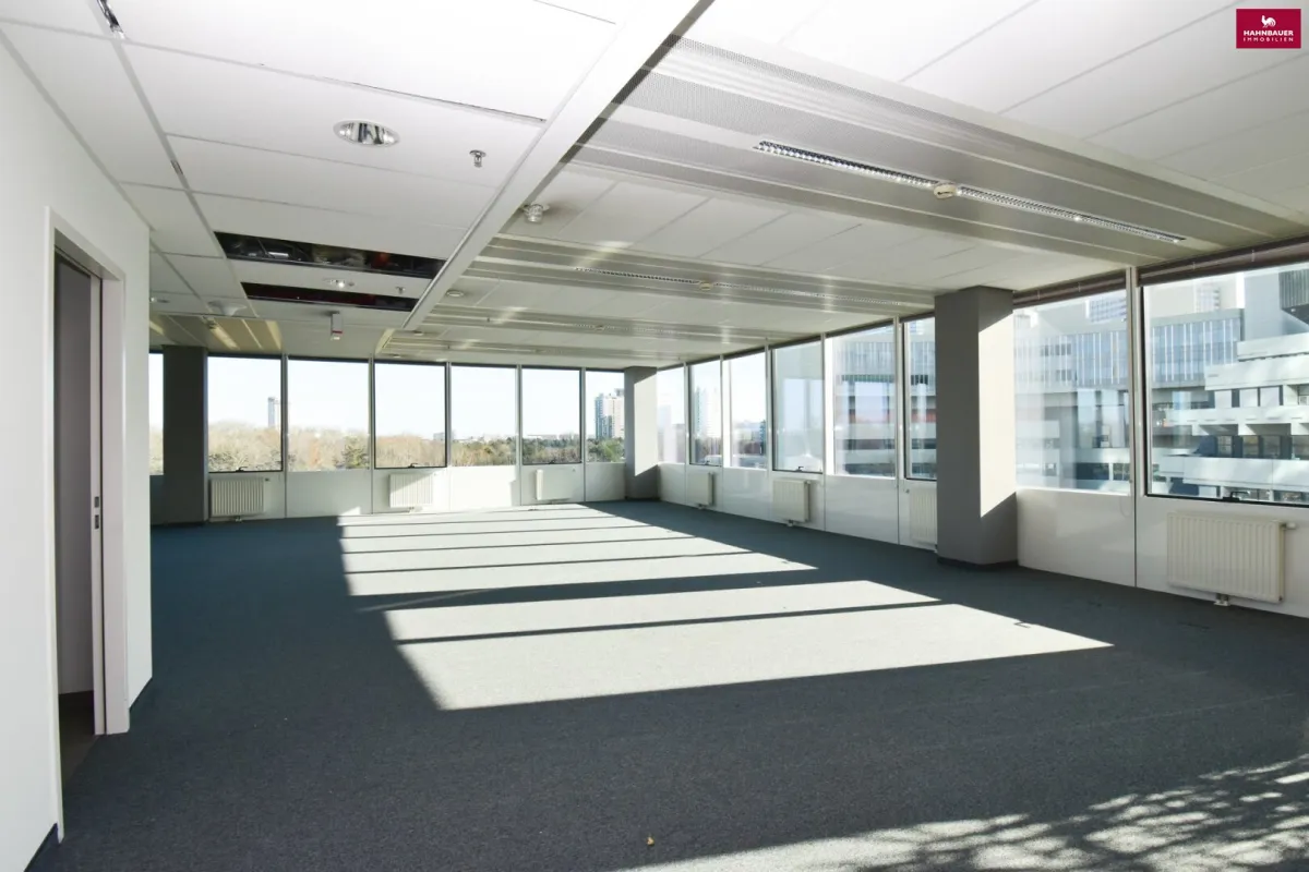 Moderne Bürofläche 350 m2 in 1220 Wien bei UNO City - Bild 1