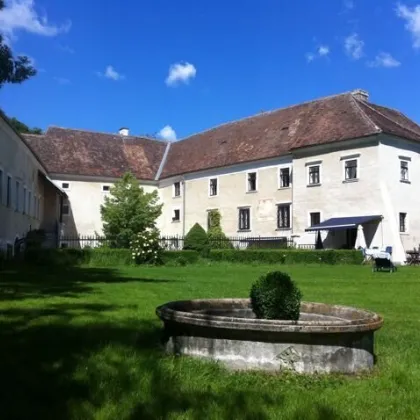 Herrschaftlicher Dreikanthof im Weinviertel - Bild 3