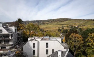 Einzigartiges Penthouse mit Pool und 360° Rundumblick