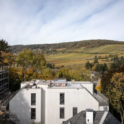 Einzigartiges Penthouse mit Pool und 360° Rundumblick - Bild 2