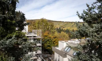 Schickes Apartment mit Traumblick in die Neustifter Weinberge