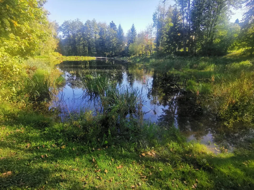 RECHTECKIGER BAUGRUND mit Eigentumsanteil am PRIVATEN BADETEICH! Rarität! - Bild 1
