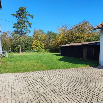 Zinshaus mit befristeten 8 Wohnungen, 5,2% Rendite! - Bild 3